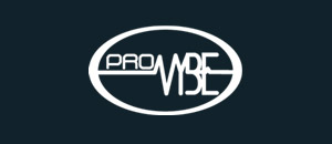 The ProVYBE website gave its company the ability to sell its new multivitamin product nationwide.