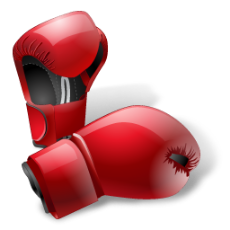 Powerful punch boxing gloves