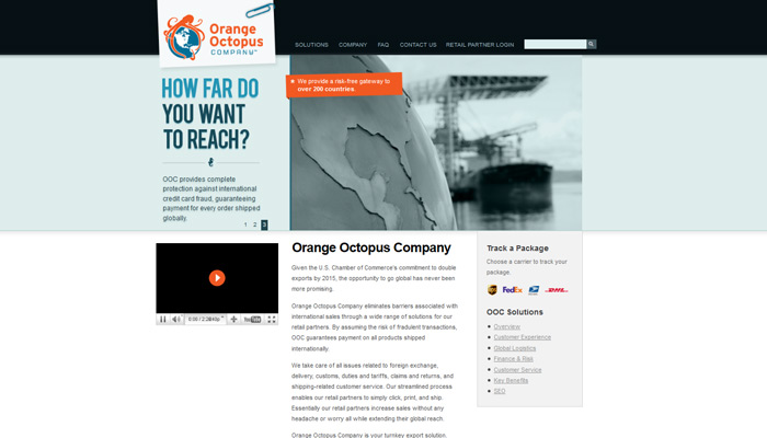 e-commerce and custom development company portfolio