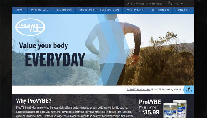 e-commerce and custom development company portfolio