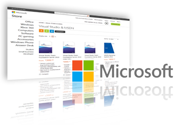 Microsoft .net b2b e-commerce platform development