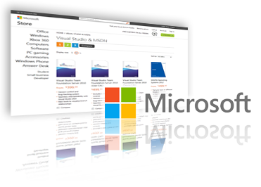 Microsoft .net b2b e-commerce platform development