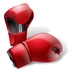 Powerful punch boxing gloves