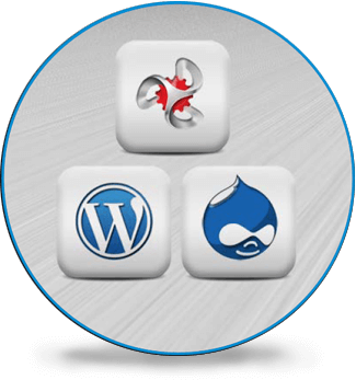 DotNetNuke WordPress Drupal Comparison